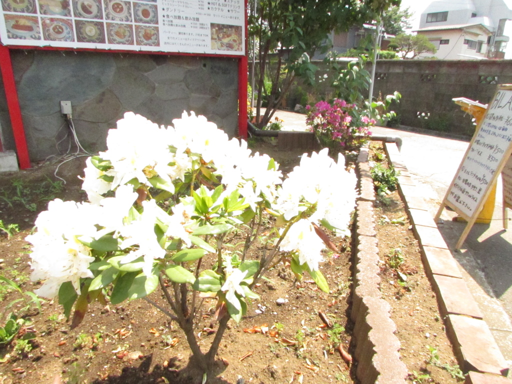 20140531 帰宅時