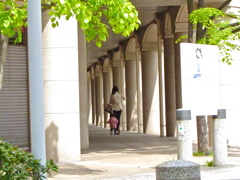 ２０１４０４１３朝陽をよけて（いじってみました）