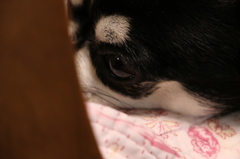 20140602　どうしようかな