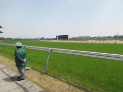 ２０１４０４２６東京競馬場へ行ってきました７