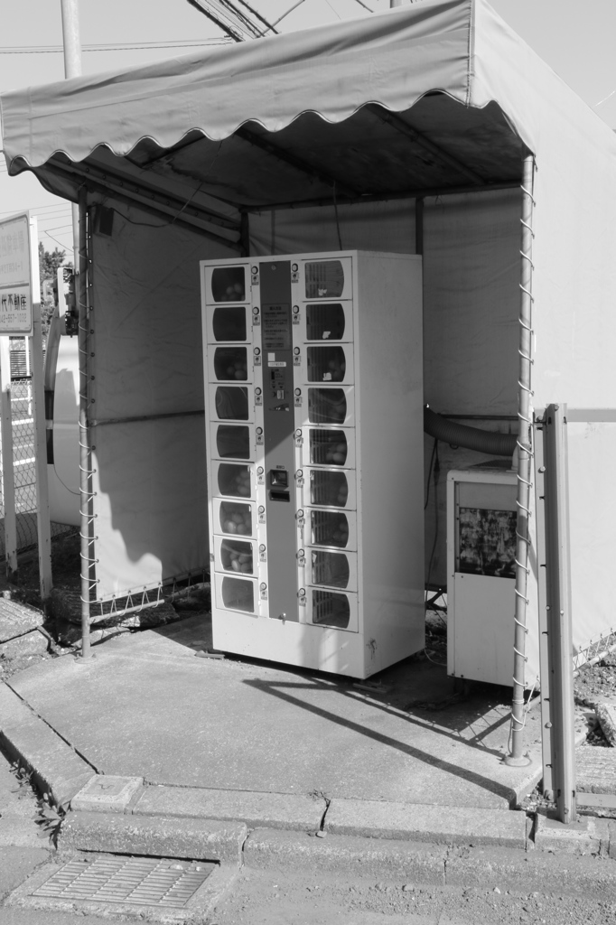 ２０１４０４０７たまご１