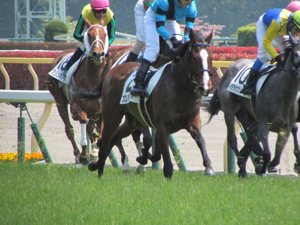 ２０１４０４２６東京競馬場へ行ってきました５