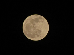 ２０１４０４１５念願の月２