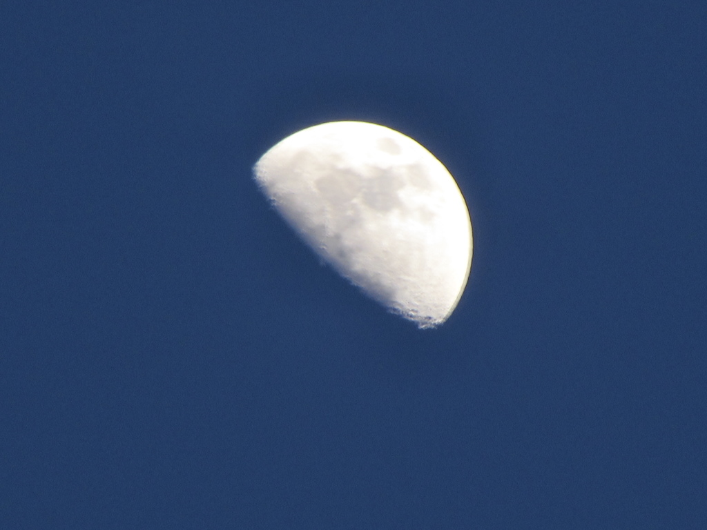 ２０１４０５０８　月１