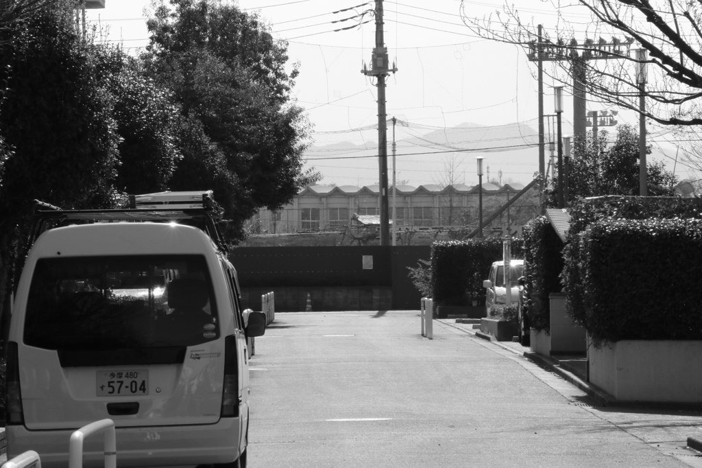 ２０１４０４０７はるうらら