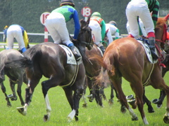 ２０１４０４２６東京競馬場へ行ってきました６