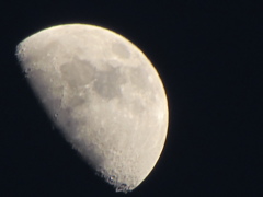 ２０１４０５０８　月２