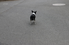 ２０１４０４１６家へかえろう