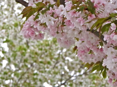 ２０１４０４１３主役の交代（いじってみました）