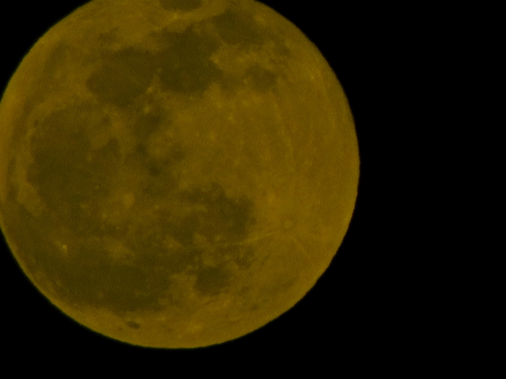 ２０１４０４１５念願の月１