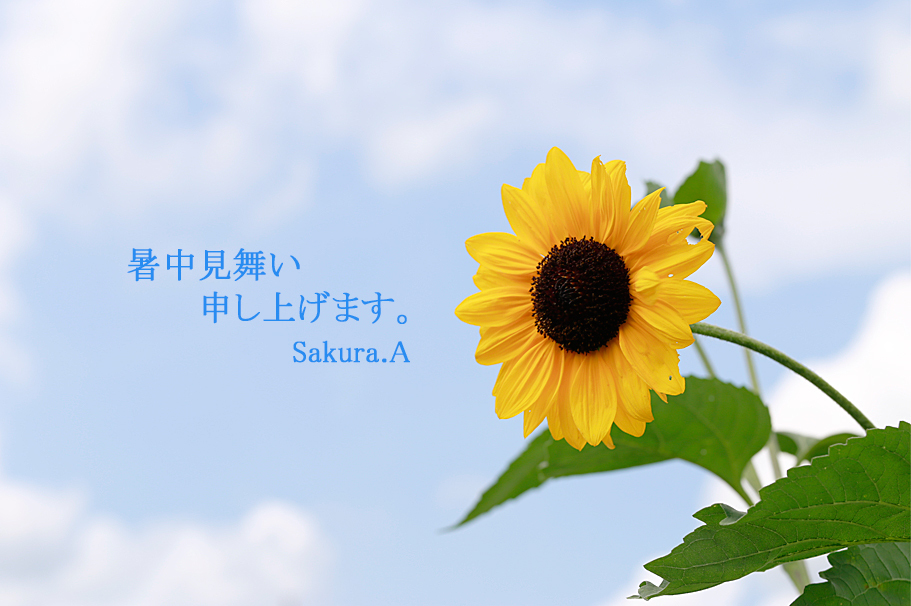 ご挨拶