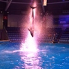 Splash!_1