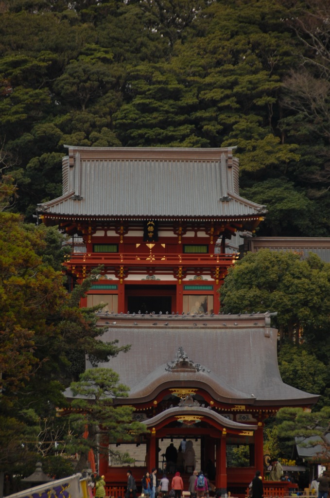 師走の鶴岡八幡宮…