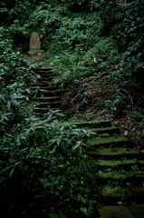 緑中の苔石段…
