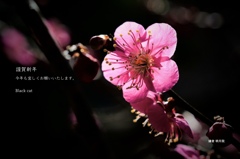 2026年 新年のご挨拶…　