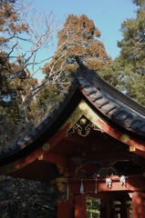 春光の宮造り…１