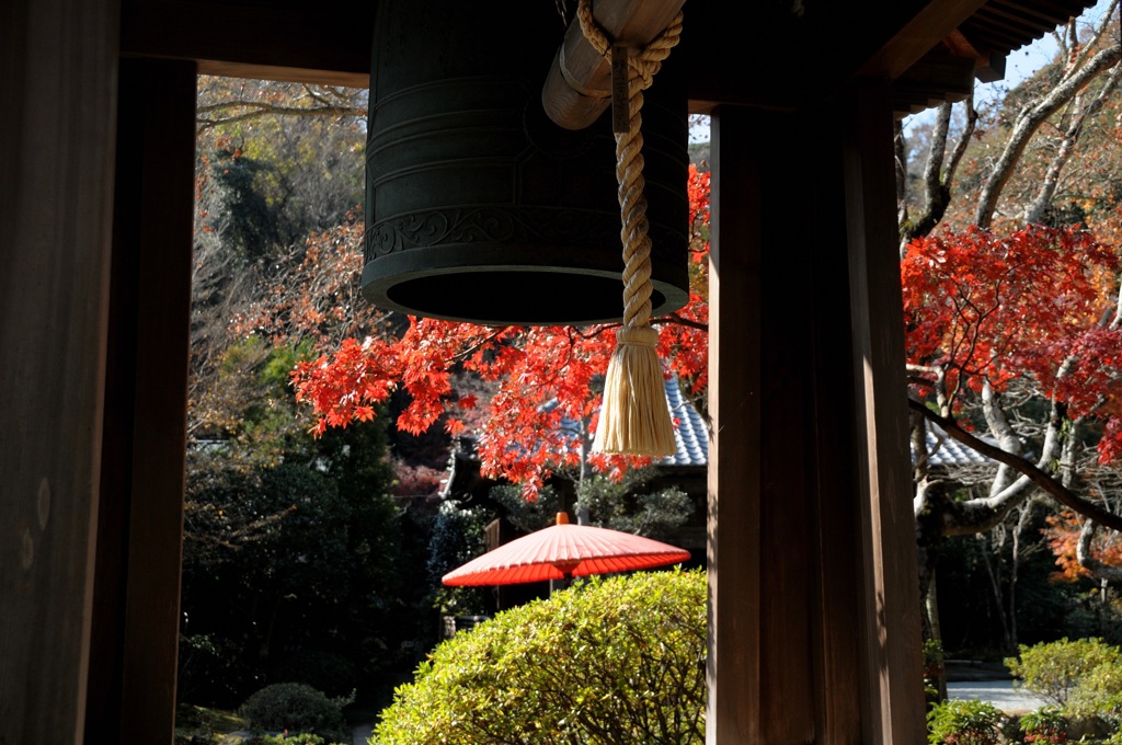 禅寺の紅景色…３