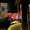 禅寺の紅景色…３