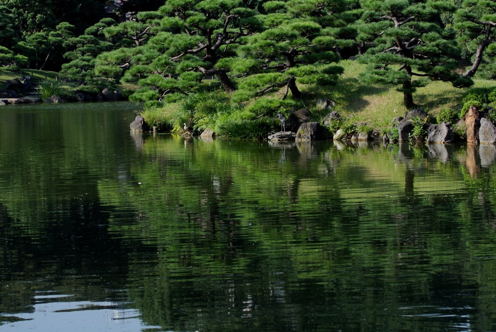 清澄庭園・大泉水…
