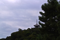 横浜三渓園・三重塔…