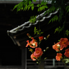 古刹の赤花…４