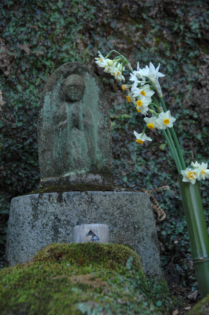 寄り添う花影…