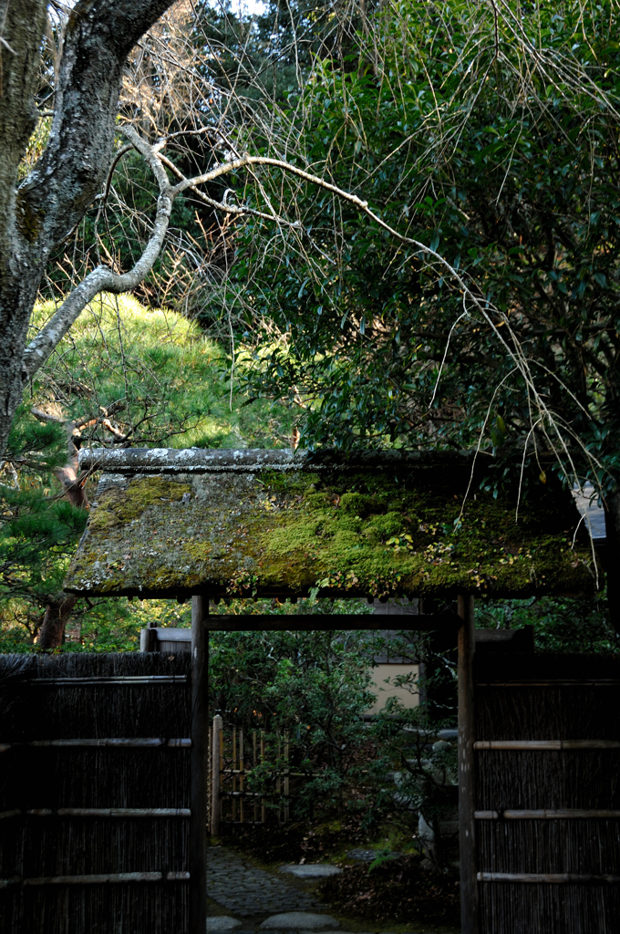 駆込み寺の茶室…