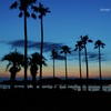 海辺の夕景…１