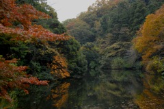 鎌倉湖・秋模様１…