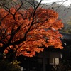 日蓮の紅景色…１