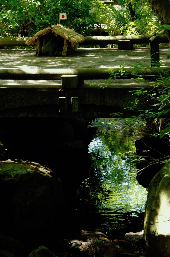 禅寺の緑景…３