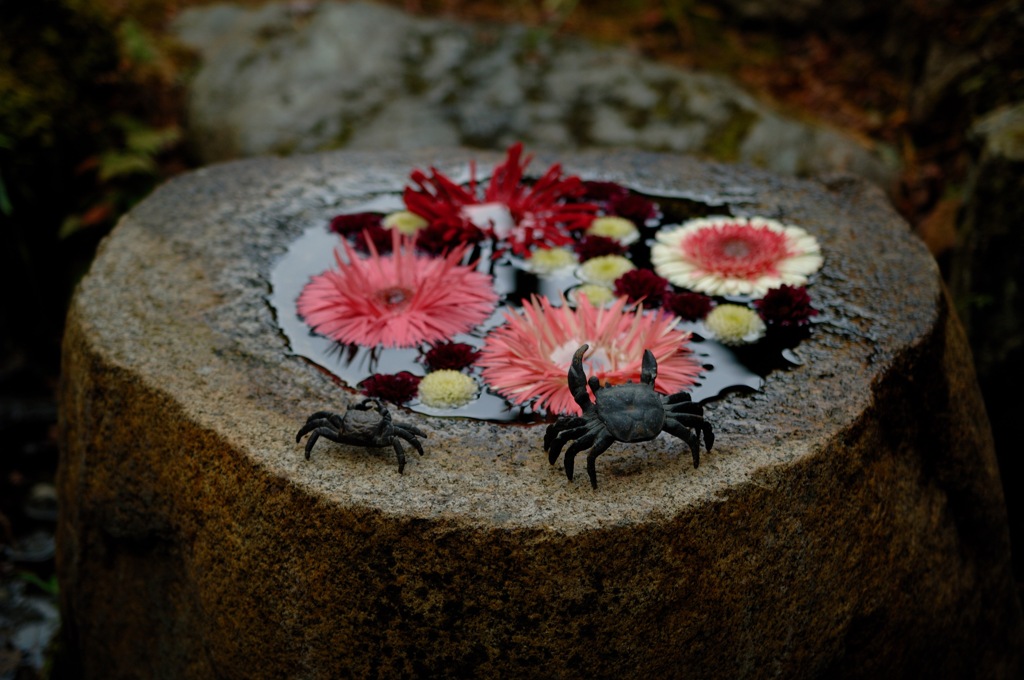 古都の花手水…２
