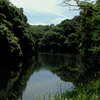深緑の鎌倉湖…１