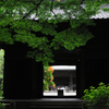 鎌倉夏絵巻…古刹緑景１