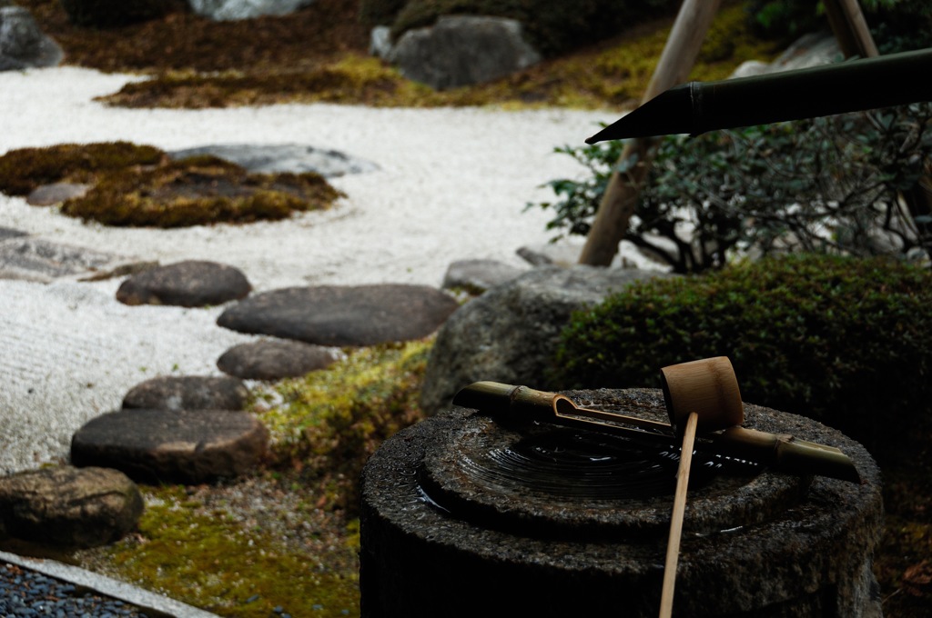 枯庭の彩り…１
