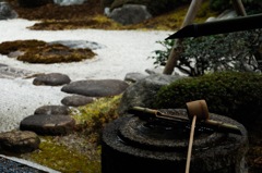 枯庭の彩り…１