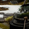 枯庭の彩り…１