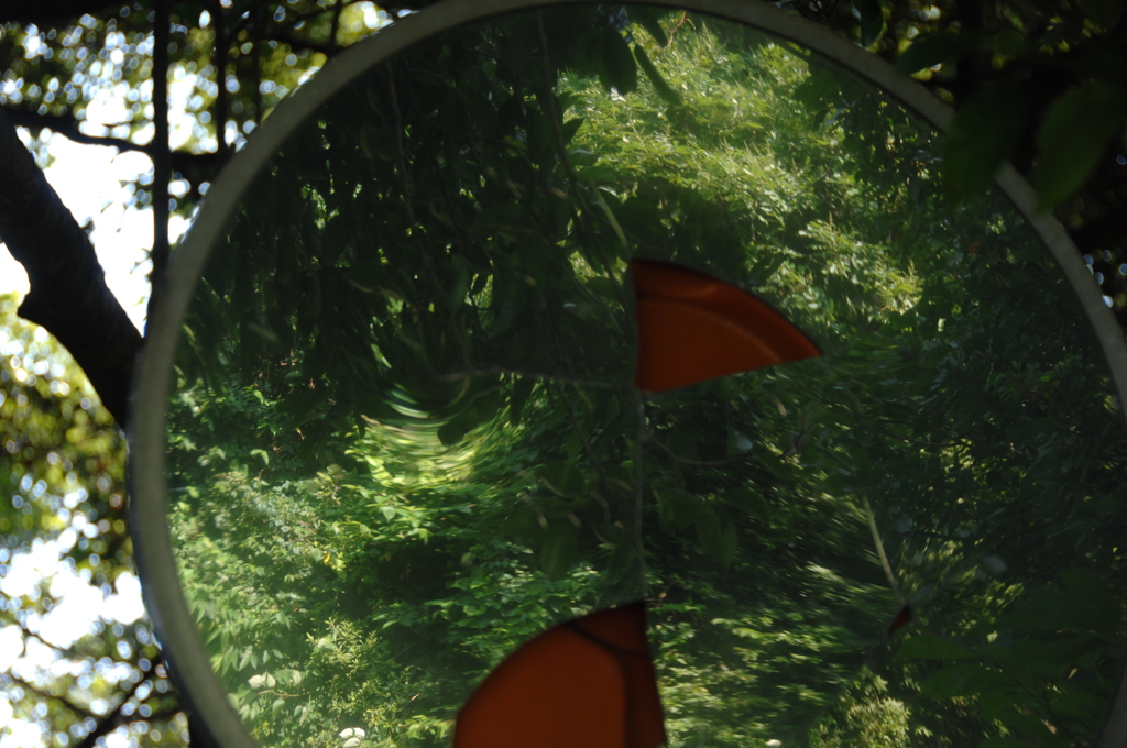 歪んだ緑景…２
