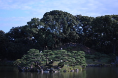 清澄庭園・池の小島…