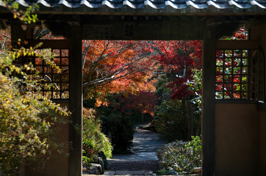 禅寺の紅景色…２