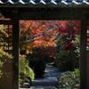 禅寺の紅景色…２