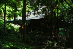 苔寺・鐘楼の陰影…