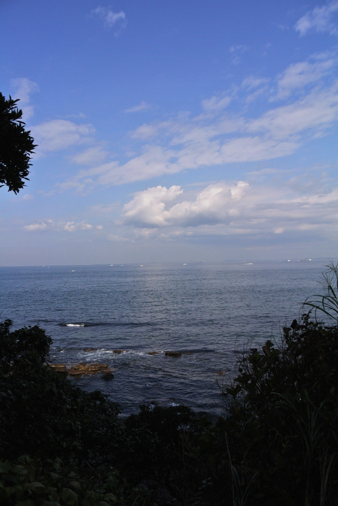 観音崎公園・小径から…