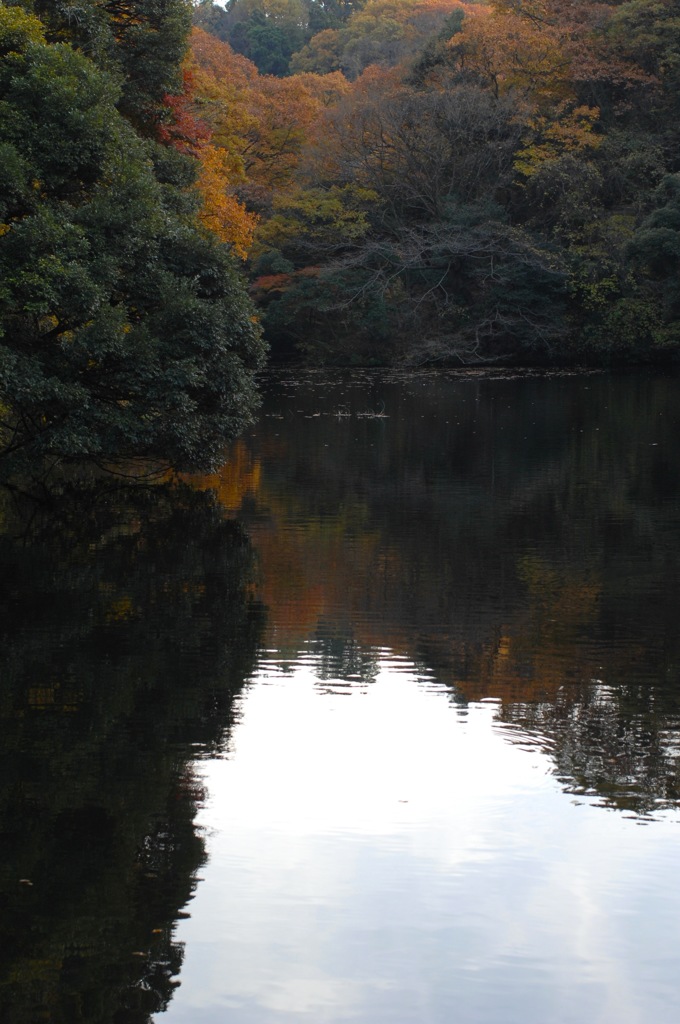 晩秋の鎌倉湖…２