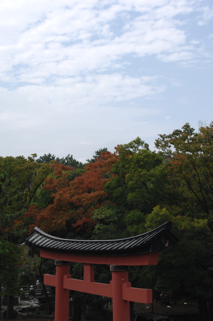 早秋の平塚八幡宮…