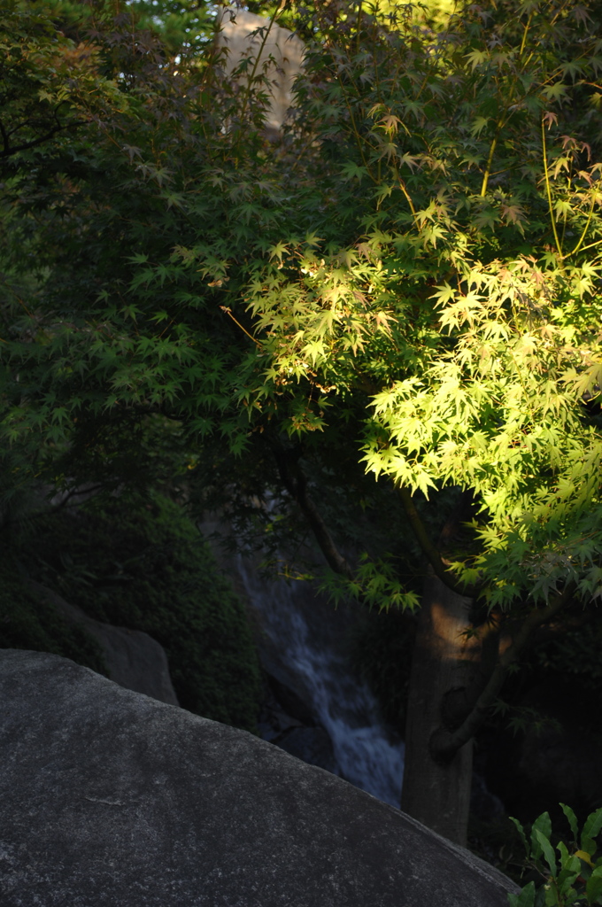 目白庭園・秋日和２…