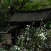 山門の彩り…