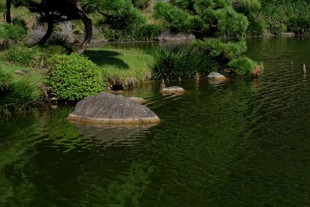 清澄庭園・大泉水の緑…