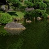 清澄庭園・大泉水の緑…