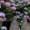 安養院・古仏像を飾る…